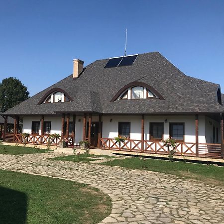 Casa Strabunicului Hotel Partestii de Sus  Buitenkant foto
