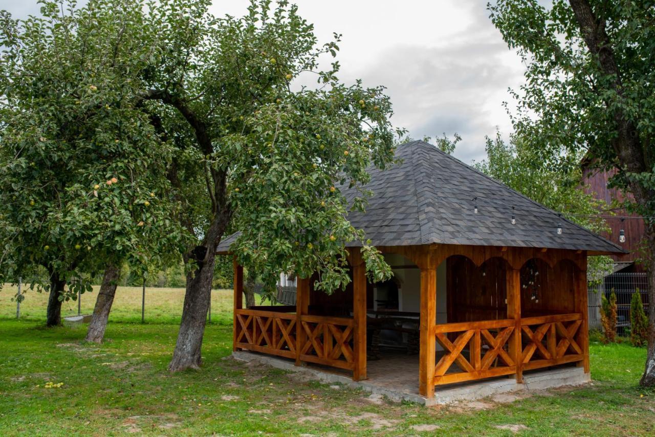 Casa Strabunicului Hotel Partestii de Sus  Buitenkant foto