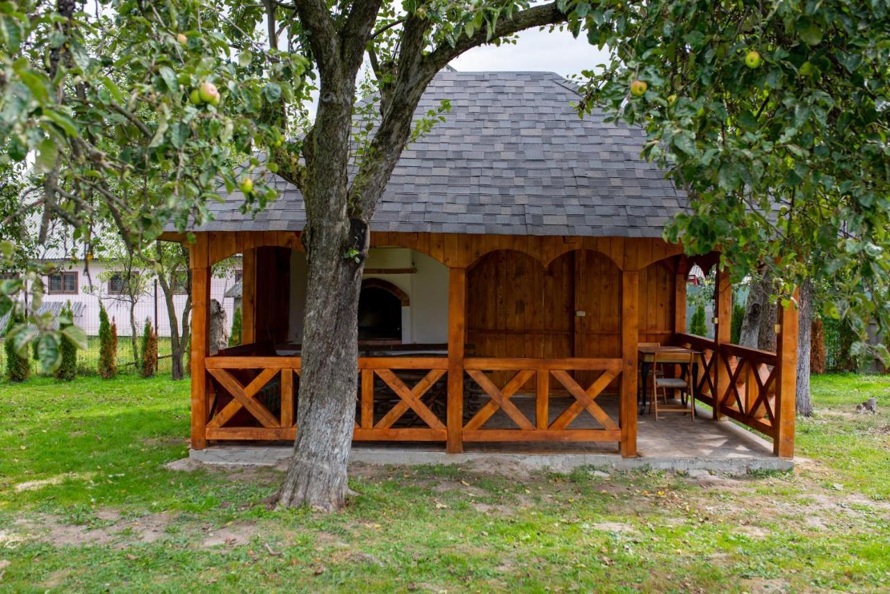 Casa Strabunicului Hotel Partestii de Sus  Buitenkant foto